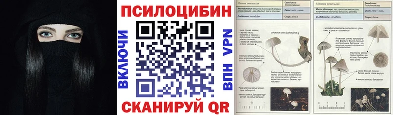 Галлюциногенные грибы Psilocybe  Заволжье 